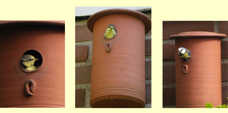 vogelpotten2